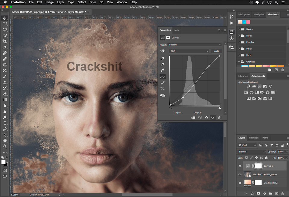 Adobe Photoshop CC Crack Interface
